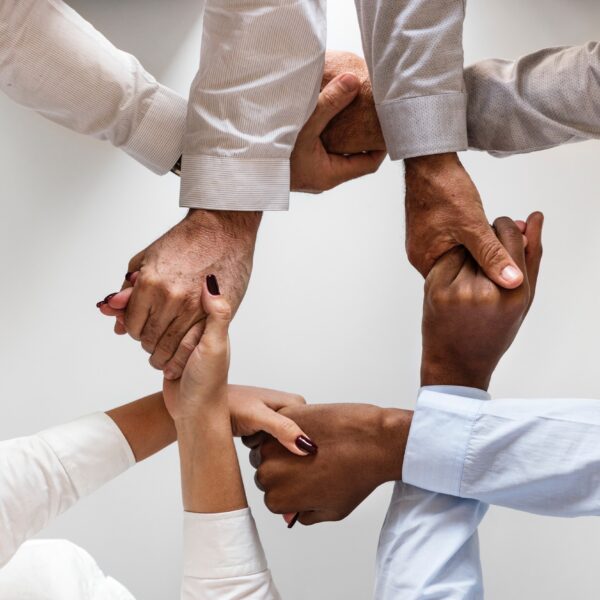 Building the Matrix: Who’s Responsible for Your Corporation’s Decisions